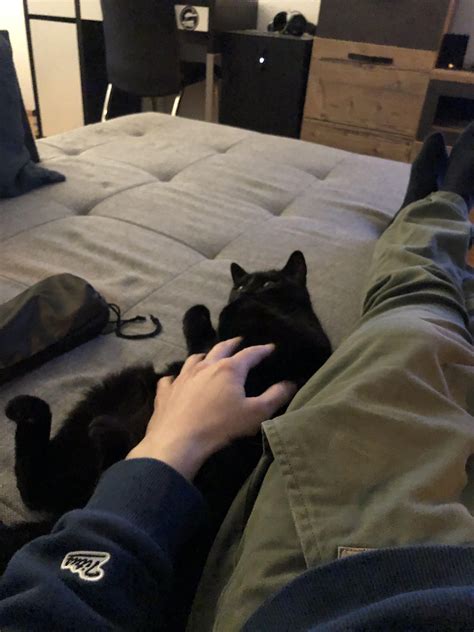 Void Demanding Belly Rubs Voidcats