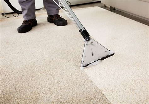 Carpet Cleaning London Hire Our Professional Carpet Cleaners