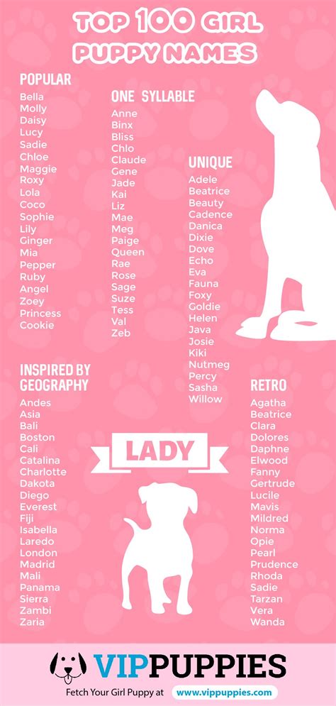 Girl Puppy Names 1000 Dog Names For Girls Vip Puppies