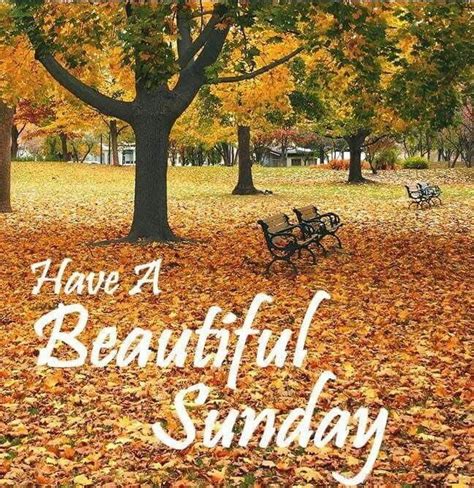 An Autumn Sunday Hello Sunday Have A Beautiful Sunday Sunny Sunday