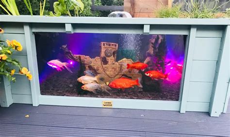 Lotus Clear View Garden Aquarium Raised Fish Pond With Two Etsy