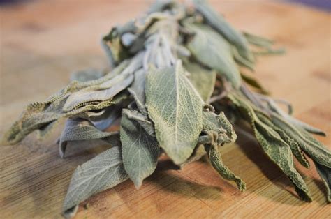 Dried Sage Certified Organic Culinary Salvia Officinalis Etsy