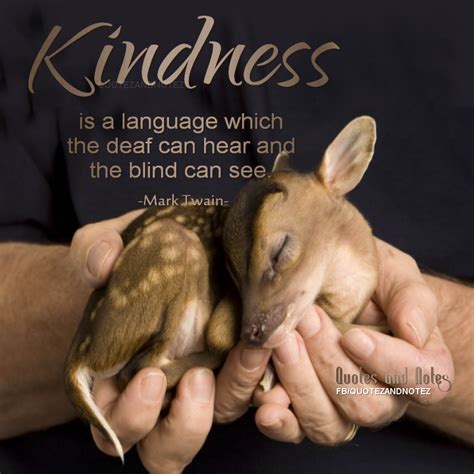 Kindness Is A Language Everyone Speaks Animais Filhotes Lindos