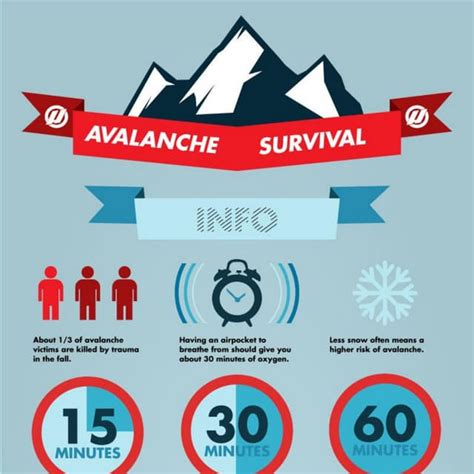 Avalanche Survival Infographic