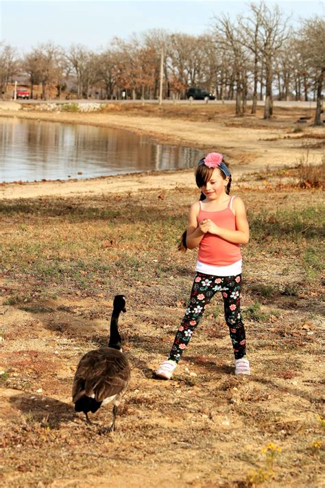 Little Girl Feeding Goose Free Stock Photo Public Domain