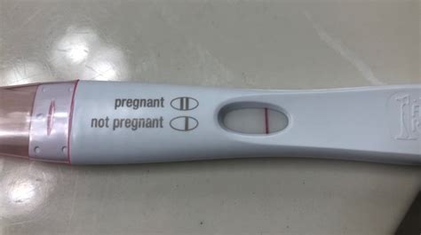 Faint Line Help Pregmate Pregnancy Test Glow Community