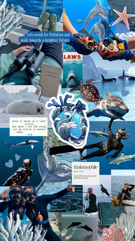 Marinelife Ocean Blue Marine Biology Oceanography Marine Biology