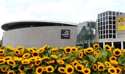 Van Gogh Museum Comprehensive Collection Of A Dutch Master