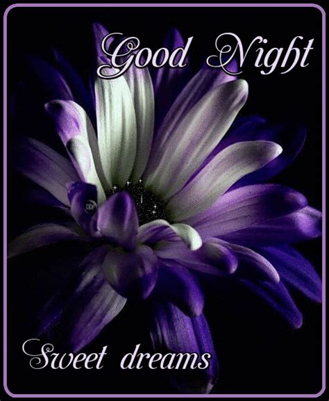Beautiful Good Night Quotes Good Night Sweet Dreams Good Night Image