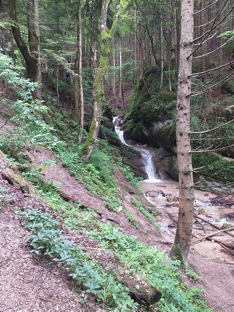 Atractie din masivul piatra mare, formatiune de eroziune in calcare. Drumetie la Canionul 7 Scari ,excursie Poiana Brasov