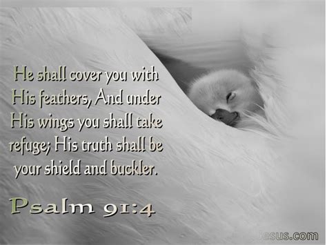 8 Bible Verses About Gods Wings