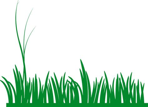 Grass Clipart Free Download Transparent Png Creazilla