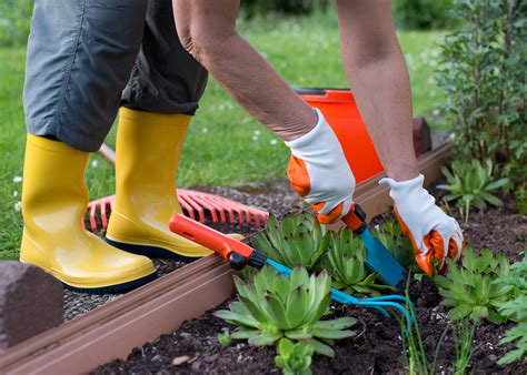 The Top 5 Must Have Gardening Tools Greenwood Hardware