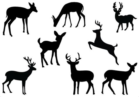 Whitetail Deer Clipart Free Download On Clipartmag