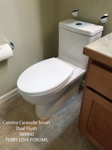 Caroma Caravelle Smart Dual Flush 989900 One Piece Toilet Terry Love