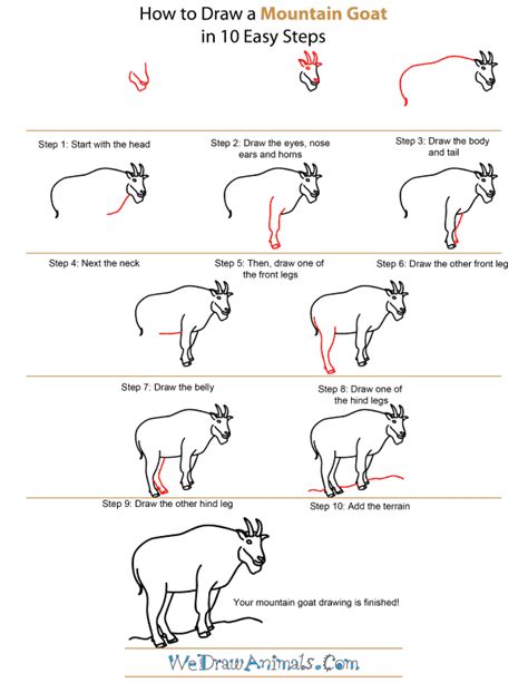 How To Draw A Mountain Goat Easy Apstudioartphotography