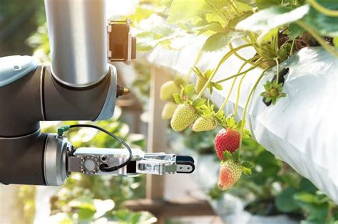Top 5 Food Industry Technology Advances In 2019 Robotics And Automation