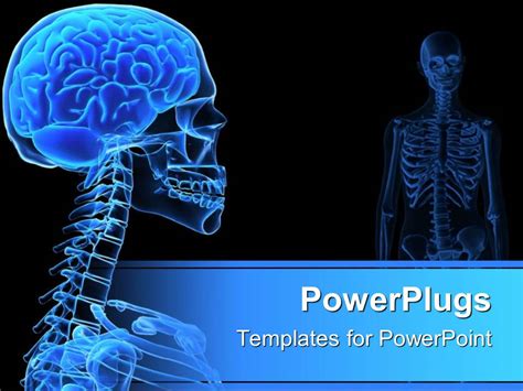 Powerpoint Templates X Ray