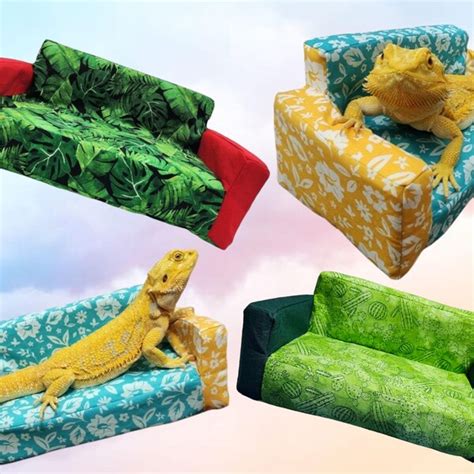 Bearded Dragon Couch Etsy