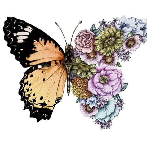 Free Free 252 Sketch Half Butterfly Half Flower Svg SVG PNG EPS DXF File