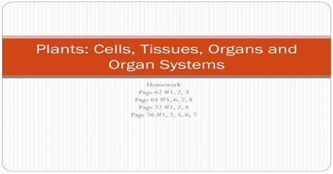 Plants Cells Tissues Organs And Organ Systems Pdf Document
