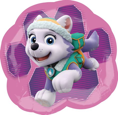 Paw Patrol Skye And Everest Png