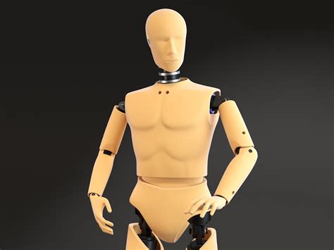 Crash Test Dummy Standing 3D Model By SQUIR