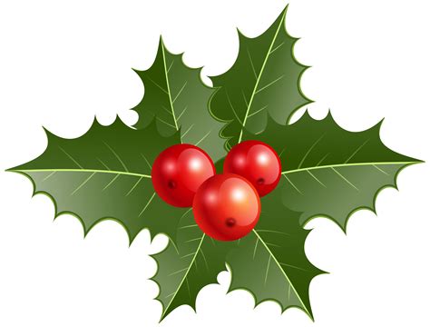 Christmas holly clipart | Christmas holly, Christmas tree decorations, Christmas decorations