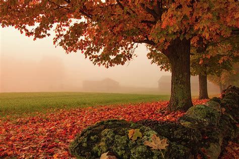 Foggy Morning In Autumn Photograph By Jeff Folger Fine Art America