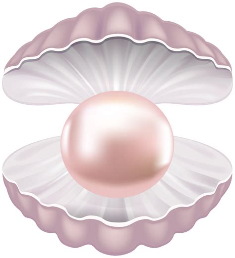 Pearls Clipart Clipart Shell Pearls Shell Transparent Free For