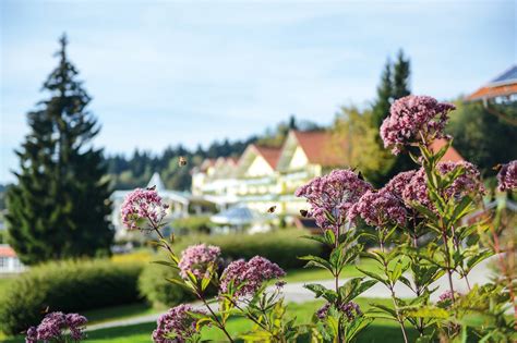 Maybe you would like to learn more about one of these? Hotel Angerhof, Franz Wagnermayr Bayern