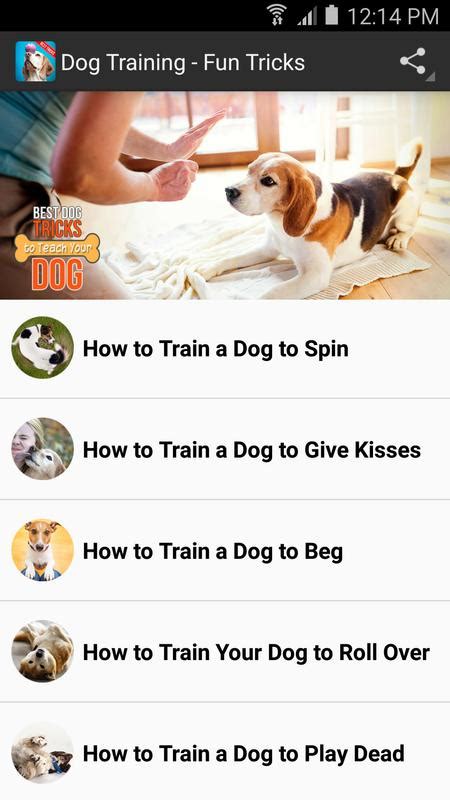 Dog Training Best Tricks Para Android Apk Baixar