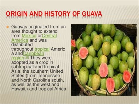 History Of Fruits By Allah Dad Khan