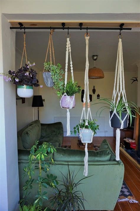 Best Way To Hang Plants From Ceiling Mia Living