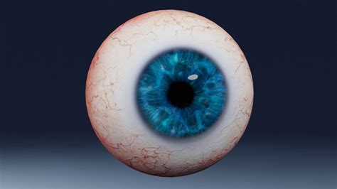3d Model Human Eye Photorealistic Vr Ar Low Poly Cgtrader