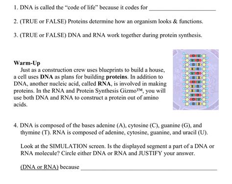 For building dna explore learning building dna gizmo answer key is available in our book collection an online access to it is set as public so you can download it instantly. Building Dna Gizmo Answer Key / Sled Wars Gizmo Intro Lt3 ...