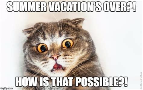 Vacation Is Over Meme The O Guide