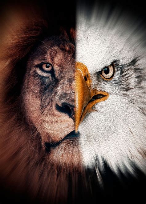 'half lion half eagle paint' Poster by MK studio | Displate | Eagle