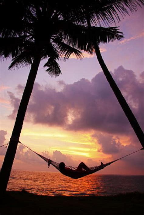A Woman Relaxes In A Hammock Between Two Palm Trees At Sunset On The Beach At Night Beach