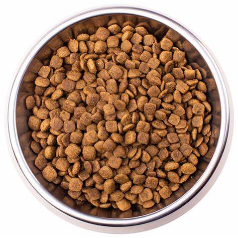 Диета 1 при заболеваниях жкт Купить Ветеринарная диета Monge VetSolution Cat Gastrointestinal гастро Купить Ветеринарная диета Monge VetSolution Cat Gastrointestinal гастро Диета 1 при заболеваниях жкт
