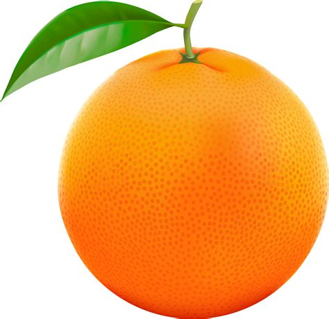 Download Orange Fruit Clipart Orane - Orange Fruit Orange ...
