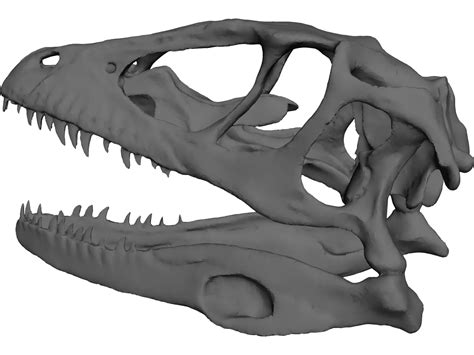dinosaur skull 3d model 3dcadbrowser