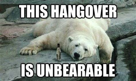 42 Hangover Memes That Capture The Regret Of Drinking Too Much