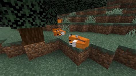 A Complete Guide On How To Tame A Fox In Minecraft Pe