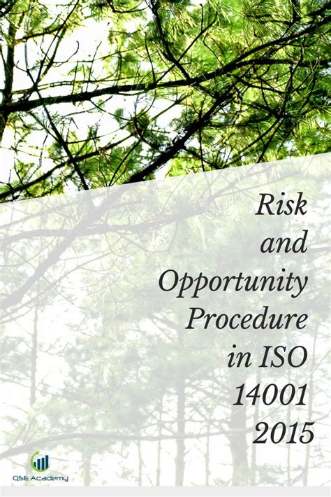 Risk And Opportunity Procedure For Successful Businesses Iso 14001 2015