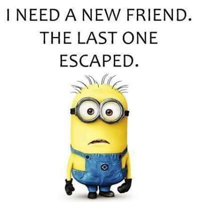 Funny Minions Memes You Can T Resist Laughing At The Funny Beaver Minions Funny Funny