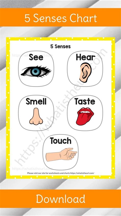 Five Senses Chart A Free Printable Pdf Video Learning English For