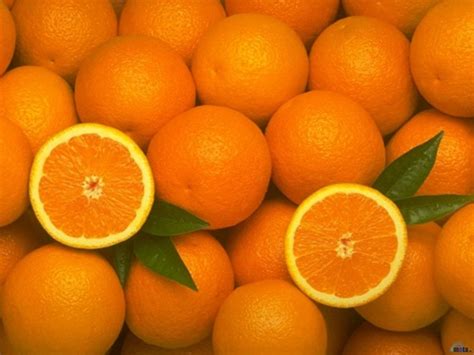 Free Download Orange Fruit Hd Wallpaper Background Images 1024x768
