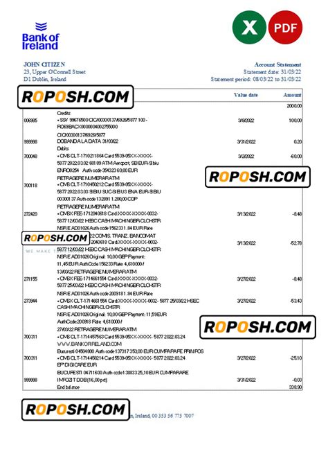 Ireland Bank Of Ireland Bank Statement Excel And Pdf Template Roposh