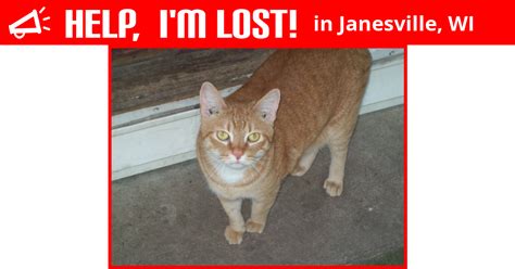 lost cat janesville wisconsin dre